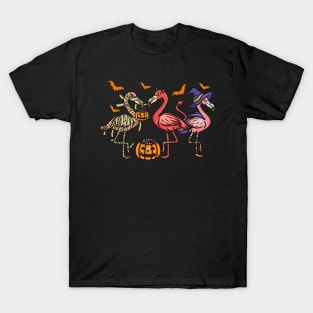 Flamingoween Halloween Flamingo I Mummy Demon Witch graphic T-Shirt